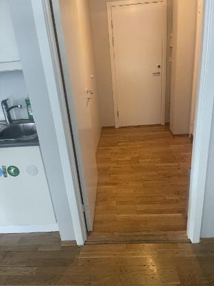 Grand center apartment Apartment in Oslo
