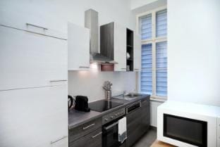 Beautiful 2-Bedroom Apt in the Heart of Vienna Apartment in Vienna