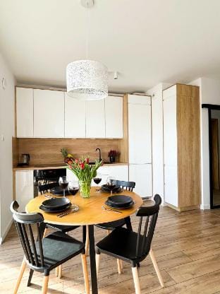 lumina comfortable apartment on Drewnowska Apartment in Poland