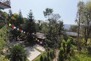 Vin’s Villa & Caffè – Rooftop Sunset View. Vacation rental in Punjab, India