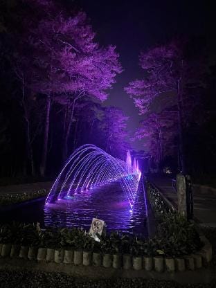Perfect for Digital Nomads 2 BR Unit Vacation rental in Baguio
