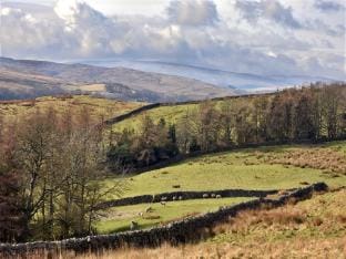Cottage in Hawes near Yorkshire Dales Trails Vacation rental in Hawes