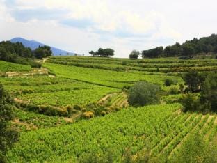 House in Vaison La Romaine with Heated Pool Vacation rental in Provence-Alpes-Côte d'Azur