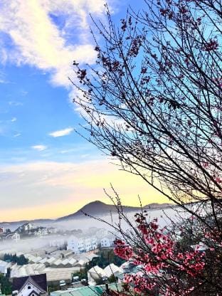 Nhà MIO homestay  Vacation rental in Dalat