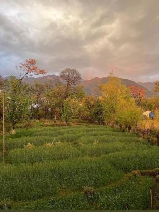 Vin’s Villa | Cozy Garden View Retreat | 2 Rooms. Vacation rental in Punjab, India