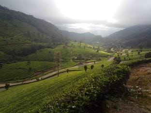 Jungle View Homestay Vacation rental in Kerala