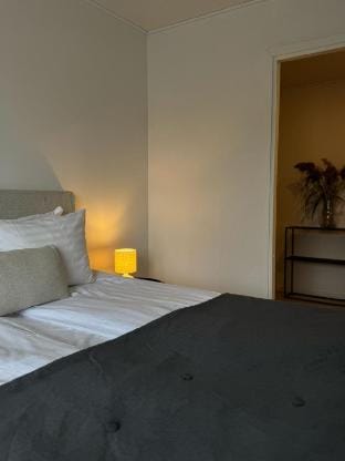 2h, 48m2 in the heart of Turku Vacation rental in Tours