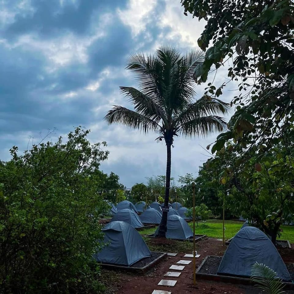 Siddhi Farm Kolad Farm Stay in Maharashtra