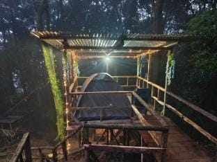 Forest IMAX Luxury tent in West Bengal