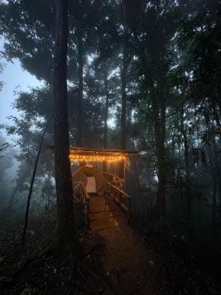 Forest IMAX Luxury tent in West Bengal