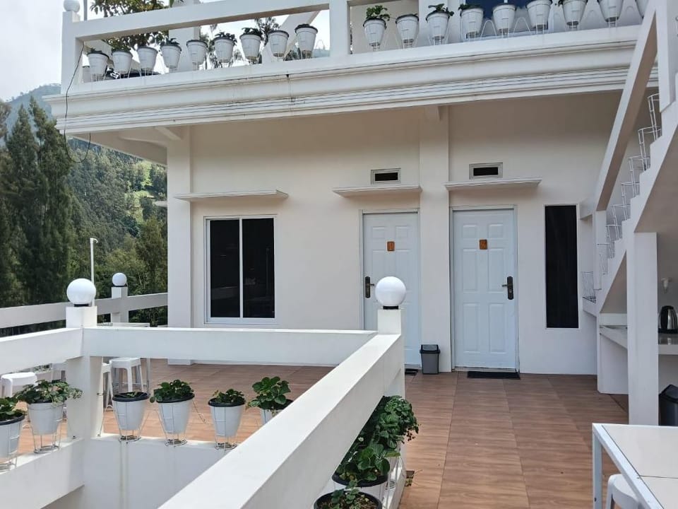 Pulmo Guesthouse Bromo Bed and Breakfast in East Java