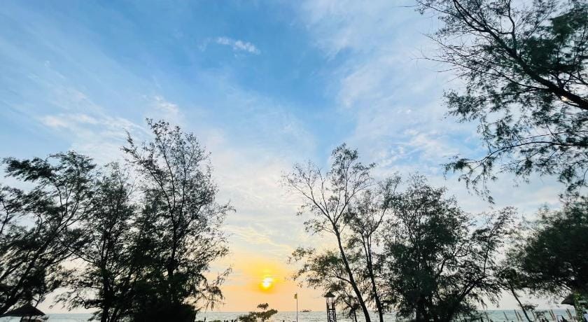 Lavender Cafe Hotel in Phu Quoc