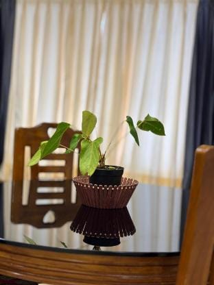 Scotberry  Villa Apartment in Tamil Nadu