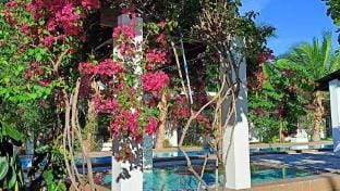 La Bonita Villa 拉博尼塔丛林里的花园别墅 Apartment in Panglao
