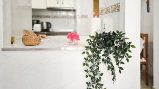 Comfortable Apartment in the Heart of Torrevieja Apartment in Torrevieja
