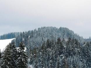 Apartment for 4 Guest near Harz Mountains Apartment in Lower Saxony, Germany