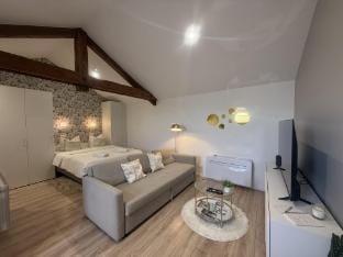 Petite Merveille sous les toits Apartment in Dijon