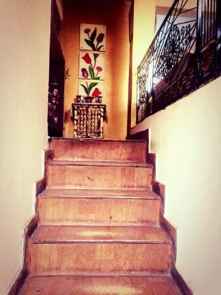 Designer luxury flat with greenry in best location Apartment in New Delhi