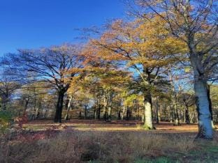 Nature-Infused Stay, Turnhout Apartment in North Brabant (province)