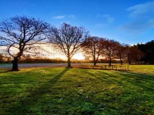Nature-Infused Stay, Turnhout Apartment in North Brabant (province)
