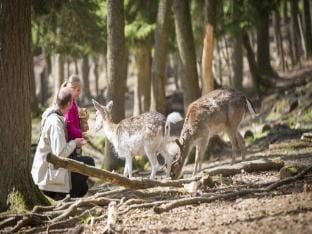Nature Stay with Garden Apartment in North Brabant (province)