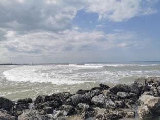Studio in Belgium with Sea View  Balcony Apartment in Middelkerke