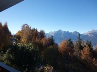 Marvelous apartment with balcony Apartment in Sion