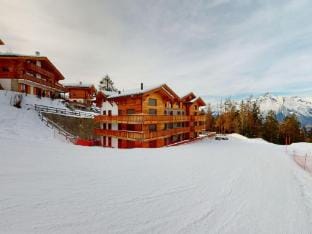 Modern apartment with balcony, ski access Apartment in Nendaz