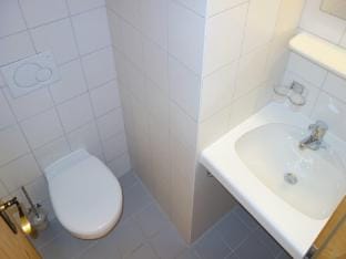Charming apartment with balcony Apartment in Nendaz