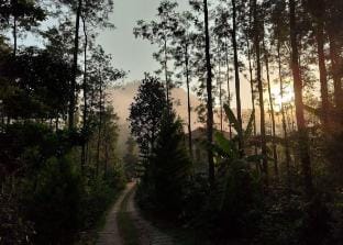 Farm Stay - With Mountain View Vacation rental in Karnataka