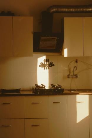 Forest Glow Studio | Nature Stay in Dehradun Hills Vacation rental in Dehradun