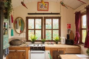 Orchard View Shepherds Hut Vacation rental in Horsham District