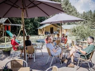 Peaceful Woodland Chalet Vacation rental in North Brabant (province)