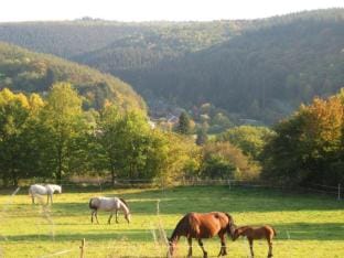 Escape to Nature in Vencimont Vacation rental in Belgium