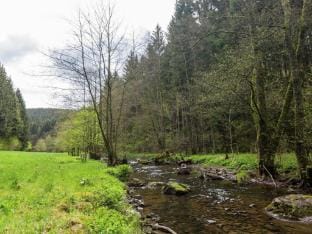 Escape to Nature in Vencimont Vacation rental in Belgium