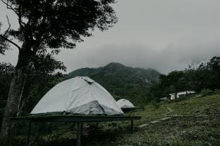 Jungle Feet Tent stay Vacation rental in Kerala