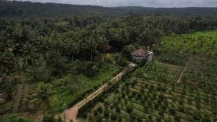 Talking Trees  Farm Stay in Kerala