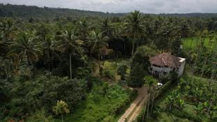 Talking Trees  Farm Stay in Kerala
