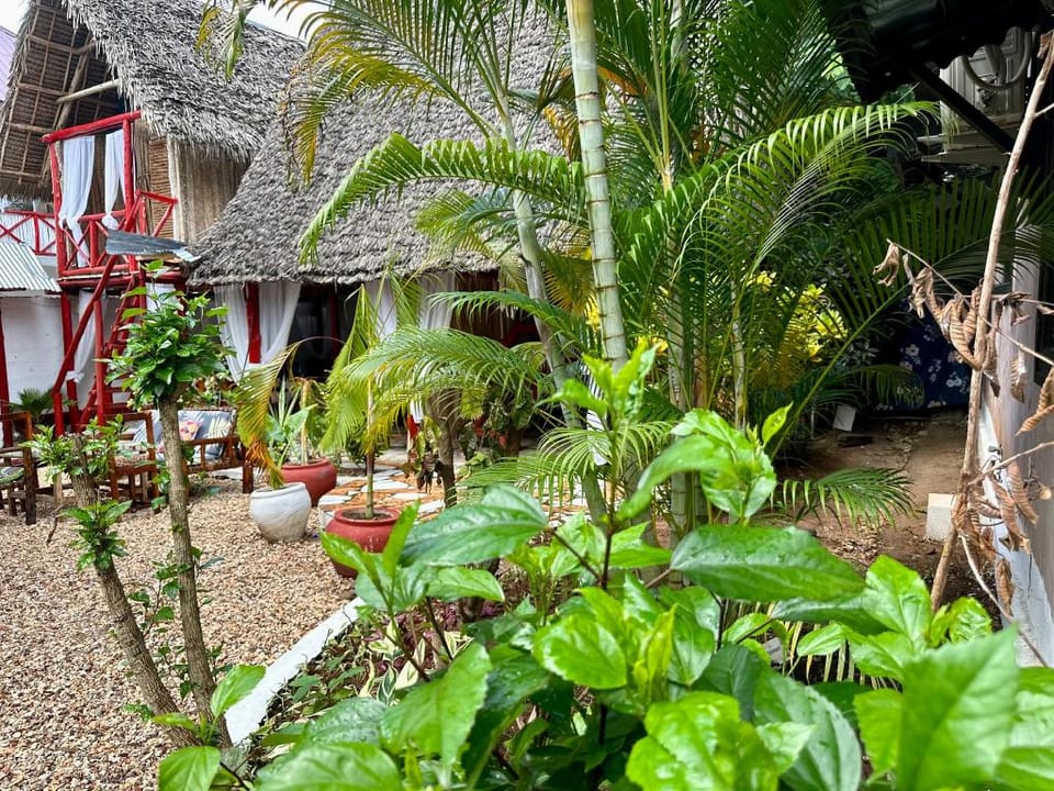 POLE POLE HOUSE NUNGWI Hotel in Tanzania