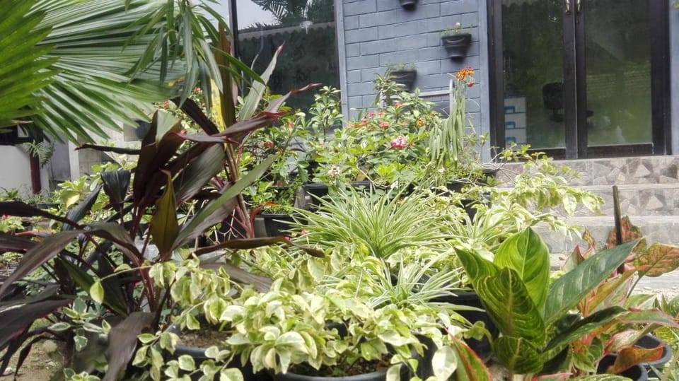 Mango Roots Vacation rental in Western Province