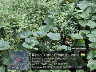 amit tripathi rural homestay Vacation rental in Uttar Pradesh