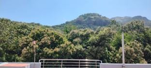 New Aathi Cottage  Vacation rental in Tamil Nadu