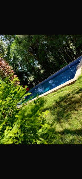 The Beehive Homestay Vacation rental in Chikmagalur