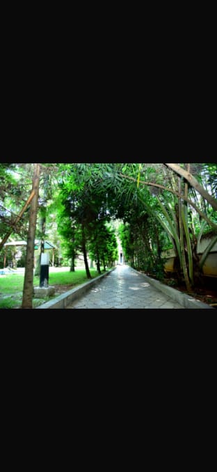 The Beehive Homestay Vacation rental in Chikmagalur