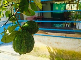 Raya's Home  Stay Vacation rental in Maharashtra