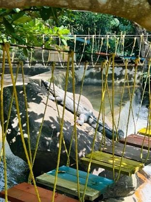 Nature Stay-River facing Stay with Stream and Pool Vacation rental in Karnataka