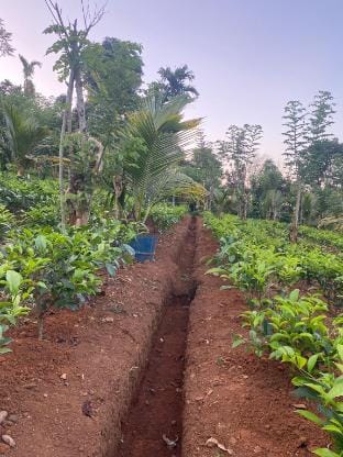 Sri Elegance Stay Vacation rental in Central Province