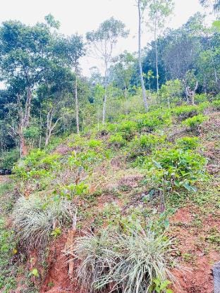 Sri Elegance Stay Vacation rental in Central Province