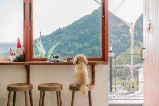 Gapyeong Gaedaek Pension Bed and Breakfast in Gyeonggi-do