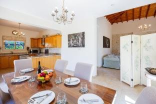 Villa Lone in Argaka Villa in Paphos District